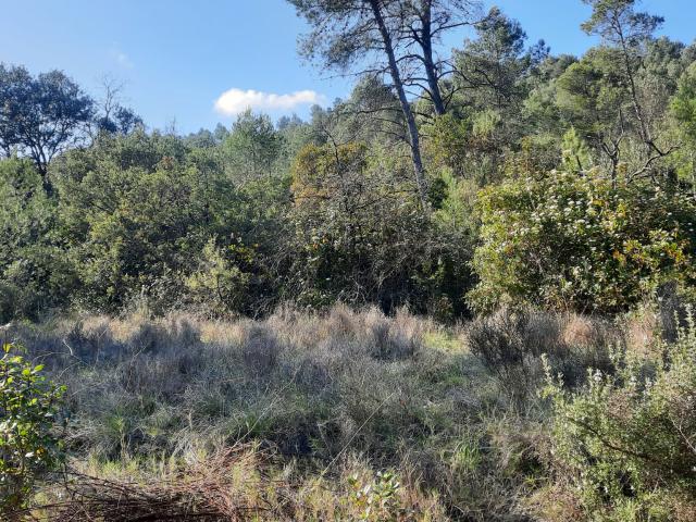 À VENDRE TERRAIN DE LOISIR CARNAS