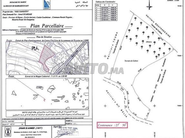 À vendre Terrain de 2750 m2 contenant 60 Oliviers