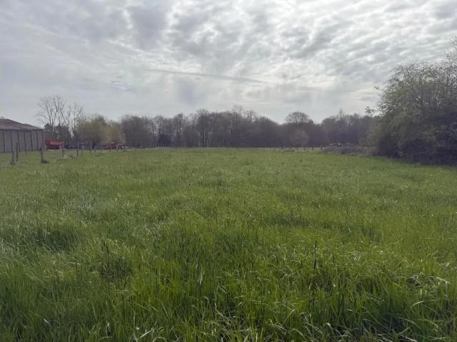 à vendre Terrain Ellezelles