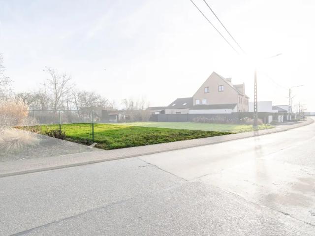 à vendre Terrain Hamme Sint Annastraat