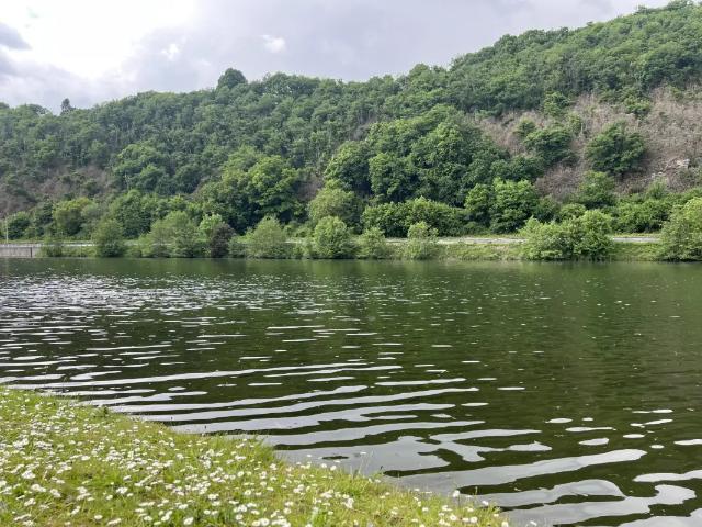 à vendre Terrain Hastière