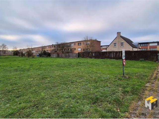 à vendre Terrain Hoevenen Seringenlaan