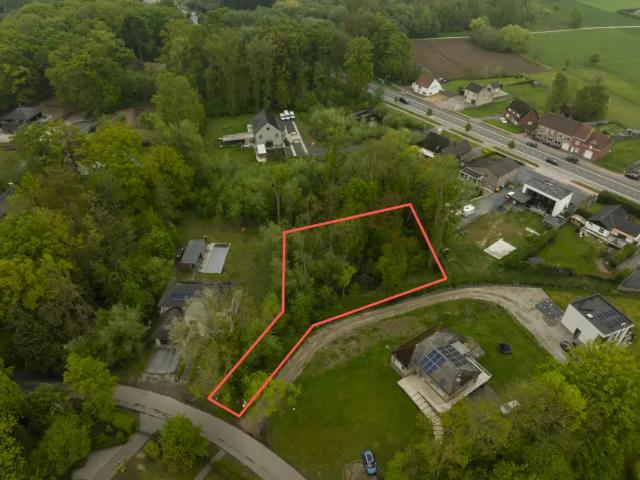 à vendre Terrain Kampenhout Sparrendreef