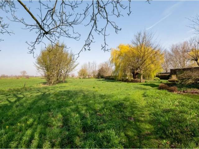 à vendre Terrain Lokeren Beerveldestraat
