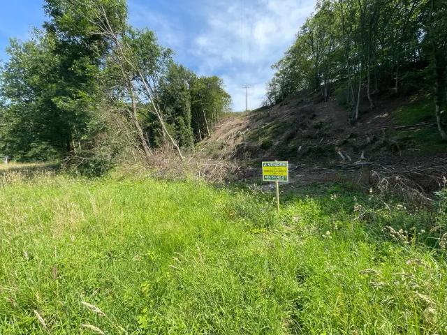 à vendre Terrain Petigny Les Chenaux