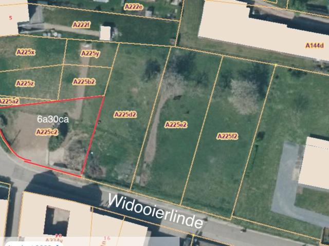 à vendre Terrain pour habitat Tongres Widooierlinde