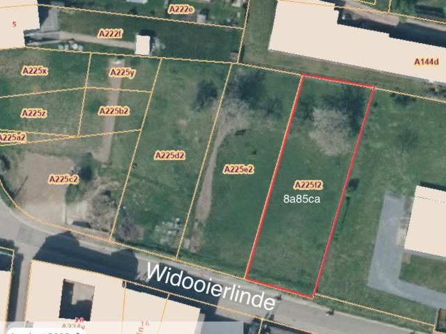 à vendre Terrain pour habitat Tongres Widooierlinde