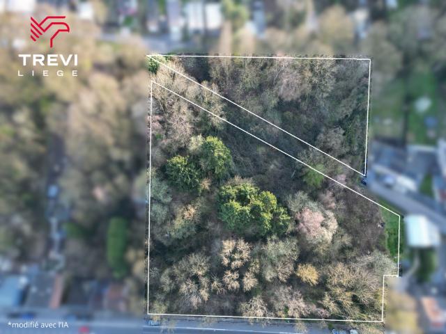 à vendre Terrain Seraing Rue de la Vecquée