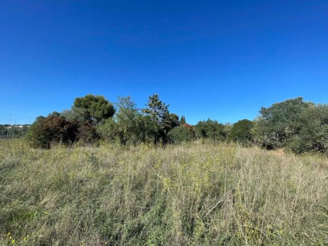 A vendre / terrain viabilisé de 430m² / Saint Victor La Coste