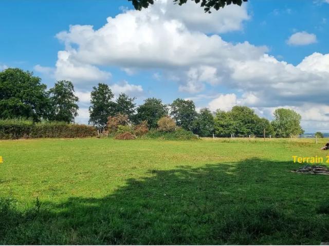à vendre Terrain Waimes Gueuzaine