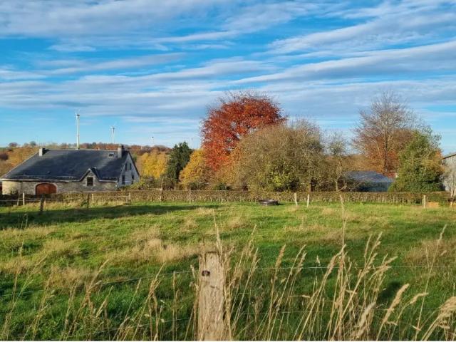 à vendre Terrain Waimes Steinbach