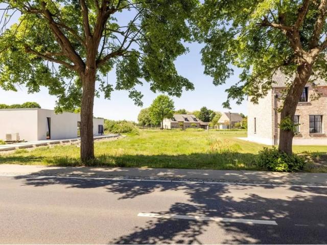à vendre Terrain Westerlo Hoog Heultje