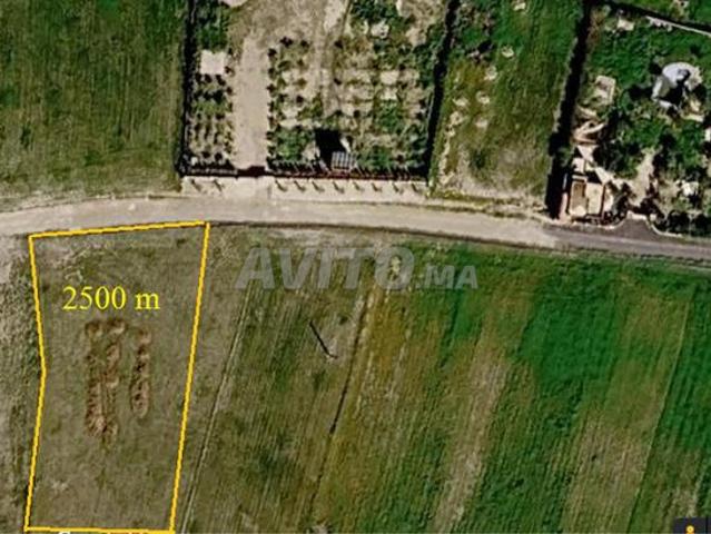 À vendre terrain 2500 m