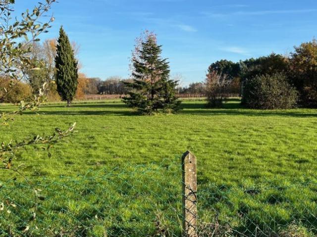 A vendre Terrain 316m²
