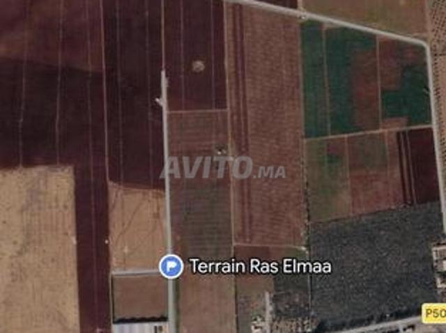 À vendre – Terrains à Ras El Ma, Fès