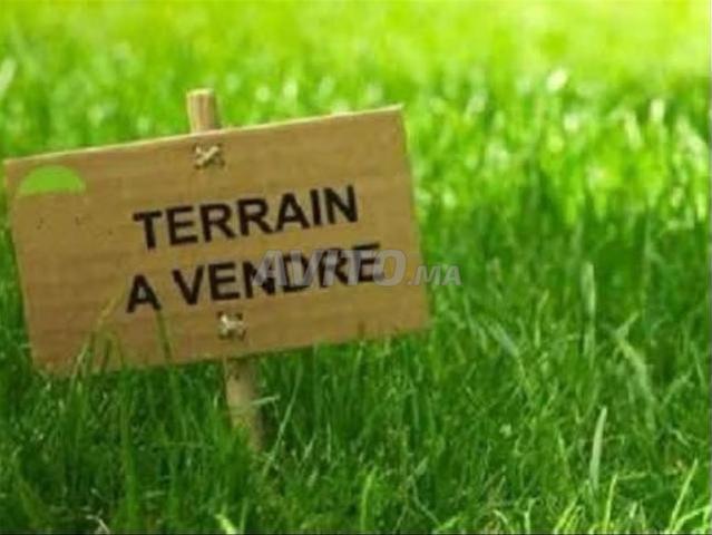 À vendre terrains i2ri à ain sbaa