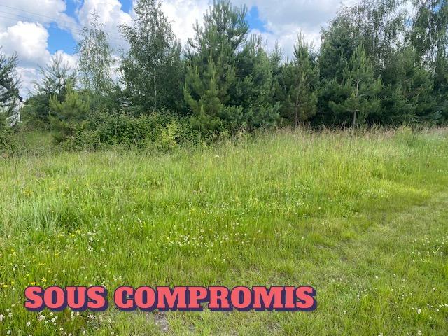 A VENDRE TRAINOU TERRAIN A BATIR