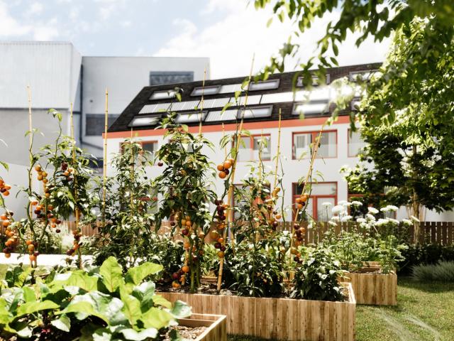 à vendre Triplex Schaerbeek Rue Anatole France