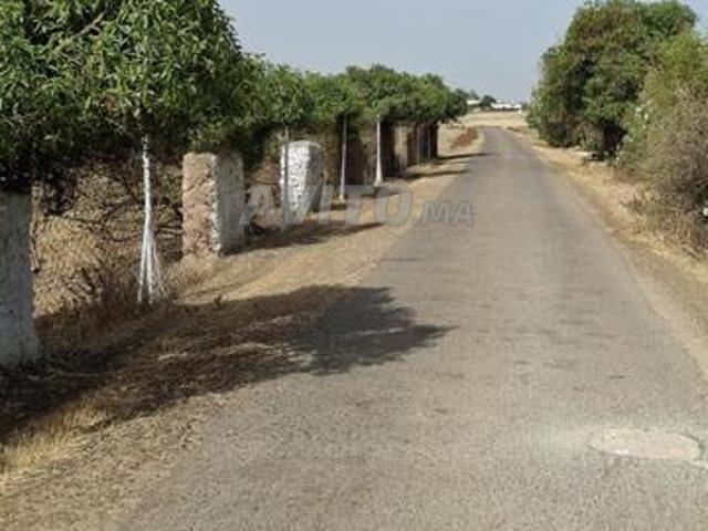 A vendre une ferme