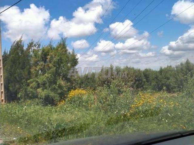 A vendre une ferme de 15 hectares