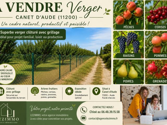 A VENDRE VERGER à Canet d'Aude