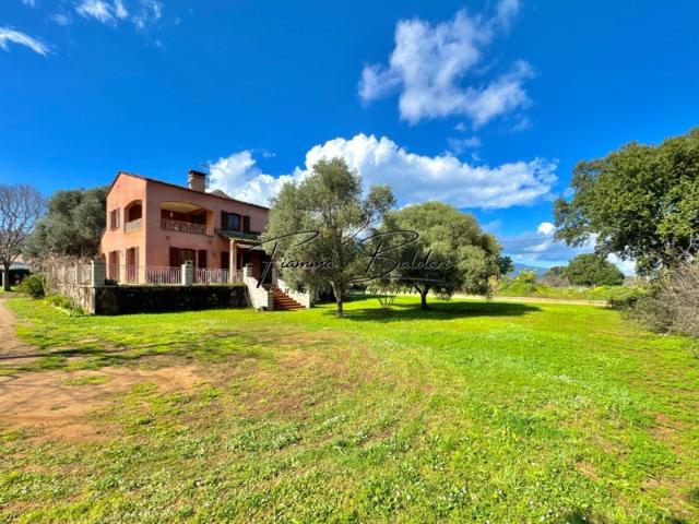 À vendre Villa 7 pièces de 205 m², Terrain 2 700 m², Havre de paix, Folelli, Penta di Casinca, Haute Corse 20