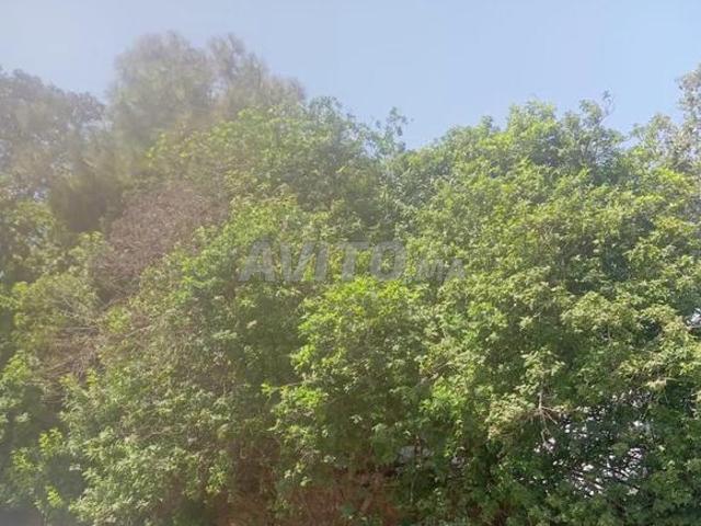 À vendre villa sur bd adri masse anfa