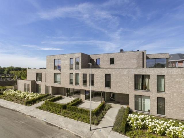à vendre Appartement Tongres Driekruisenstraat