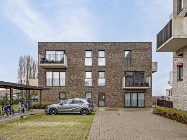 à vendre Appartement Tongres Heuveldal