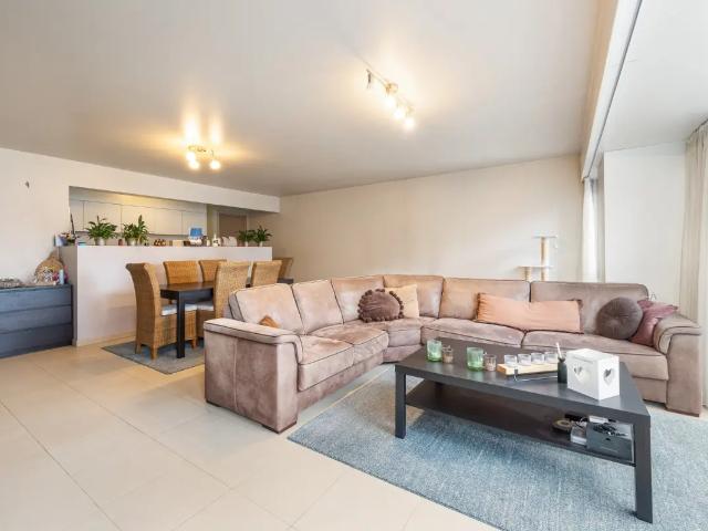 à vendre Appartement Wommelgem Dasstraat