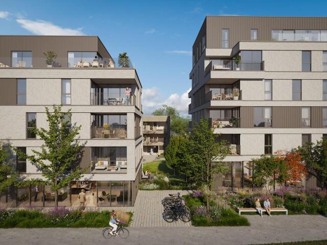 à vendre Appartement Avelgem Kloosterhof