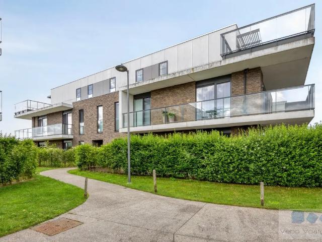à vendre Appartement Beerzel