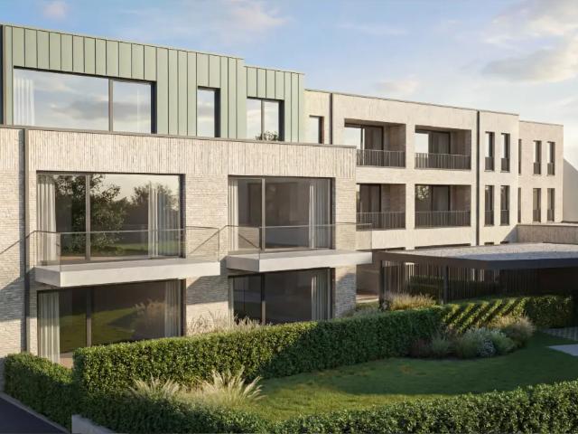 à vendre Appartement Berlare Frankrijkstraat