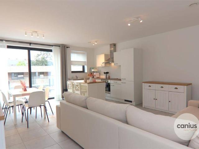 à vendre Appartement Diepenbeek Spoorstraat