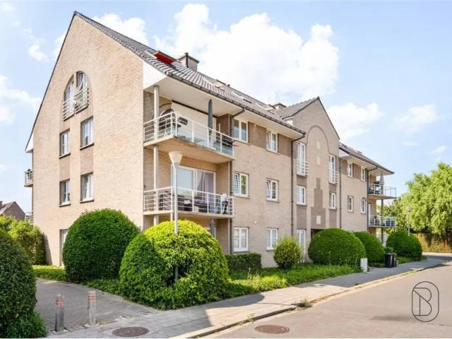 à vendre Appartement Harelbeke Kollegeplein