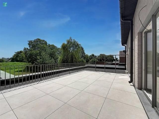 à vendre Appartement Lambusart Rue Omer Lison