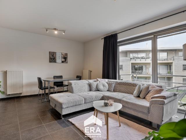 à vendre Appartement Maasmechelen Olympialaan