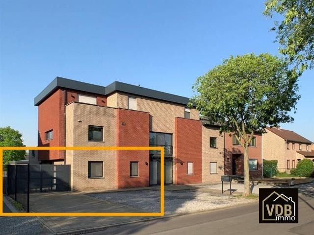 à vendre Appartement Maasmechelen Rodenbachstraat