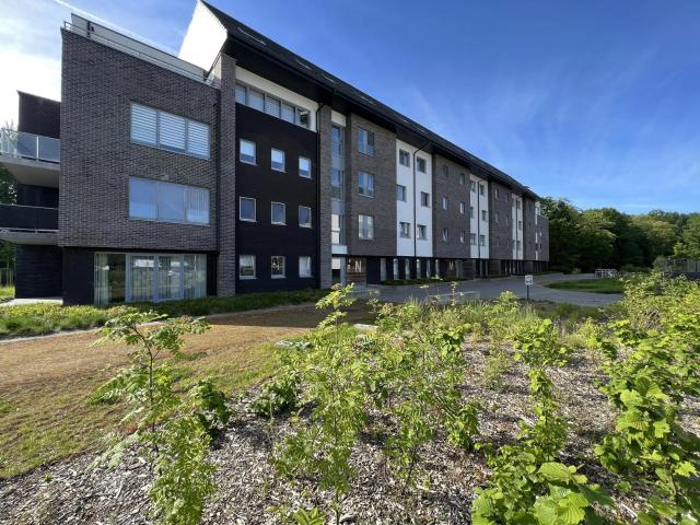 à vendre Appartement Maisières Rue Grande