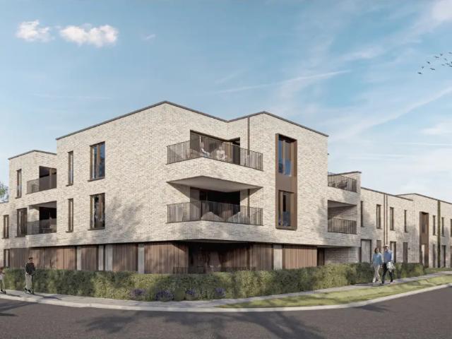 à vendre Appartement Pelt Willem Ii Straat
