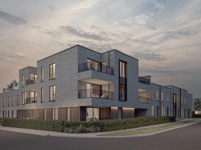 à vendre Appartement Pelt Willem Ii Straat