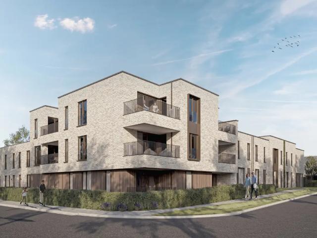 à vendre Appartement Pelt Willem Ii Straat