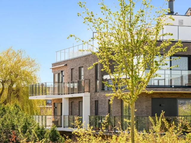à vendre Appartement Renaix Bredestraat