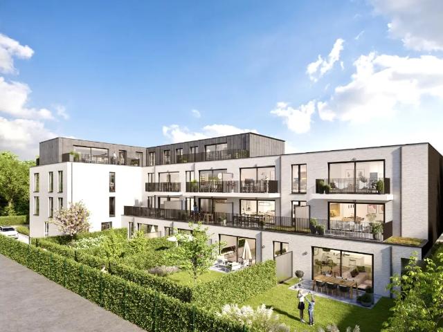 à vendre Appartement Renaix Oswald Ponettestraat