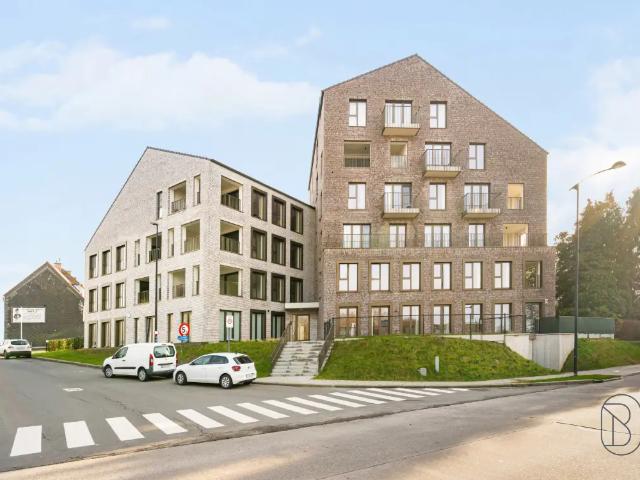 à vendre Appartement Renaix Molendam