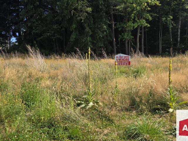 A vendre beau terrain plat de 21,69 ares à Labaroche dans le Haut Rhin 68