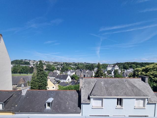 À vendre Bel appartement T1 bis mansardé au dernier étage