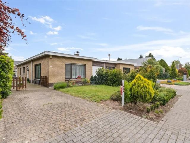 à vendre Bungalow Kemzeke Boudelostraat