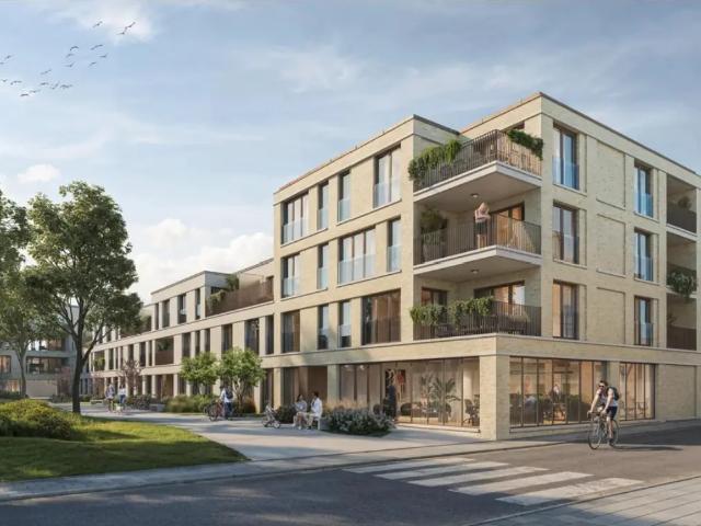 à vendre Bureaux Beringen BLIJKSTRAAT