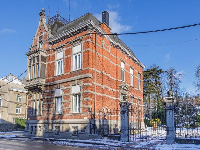 à vendre Château Limbourg Avenue Victor David